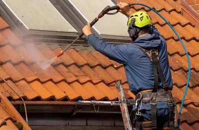 Démoussage et hydrofuge de toiture à Ladirat